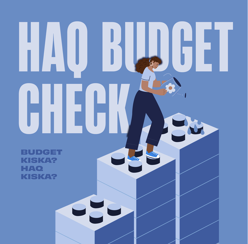 Budget Report 2025-26